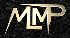 MLM portfolio 3d logo